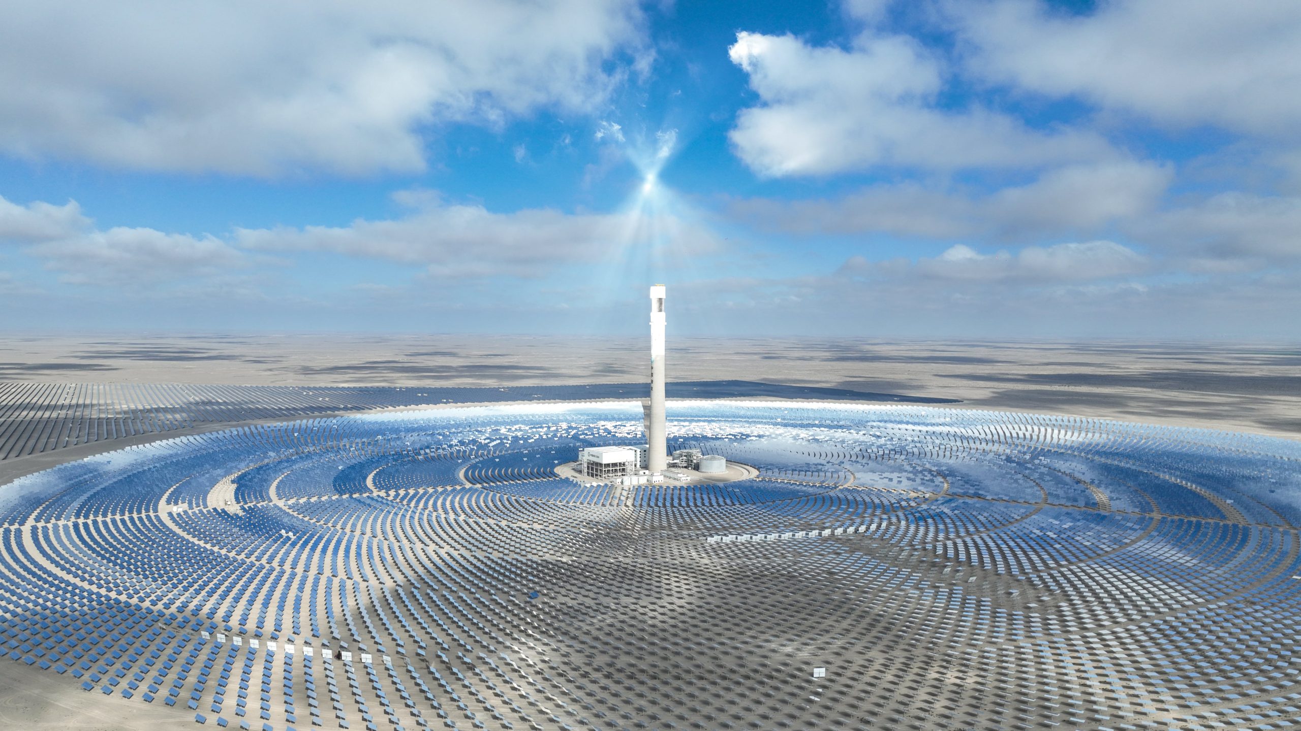 La lección China: la complicada solución para el conflicto entre las plantas solares y las aves