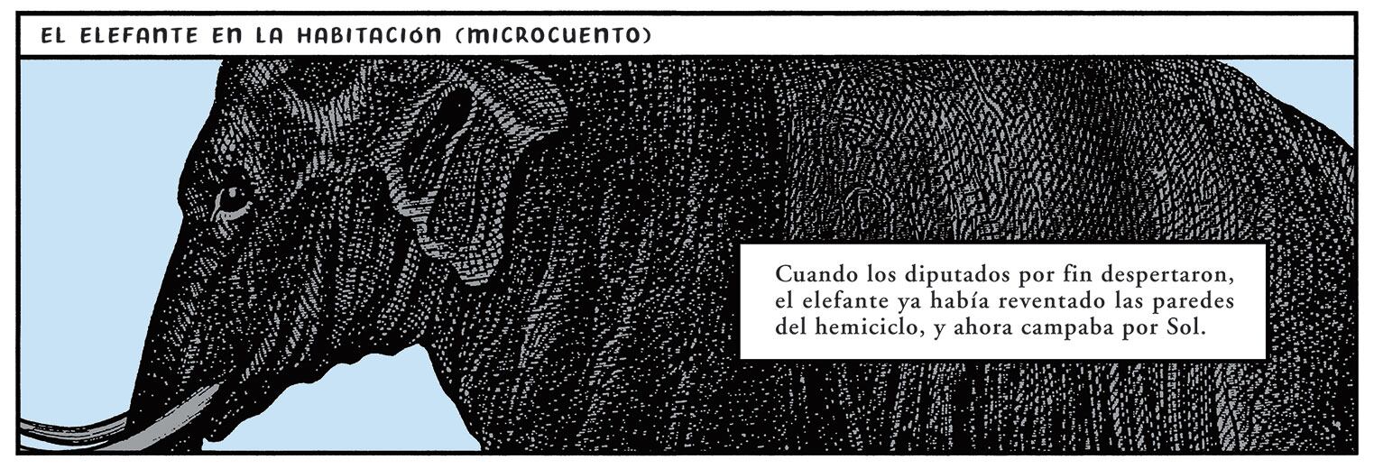 Trampantojo: El elefante en la habitación (microcuento)